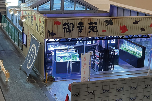 小林 美幸作「金魚卸・販売店 御幸苑」